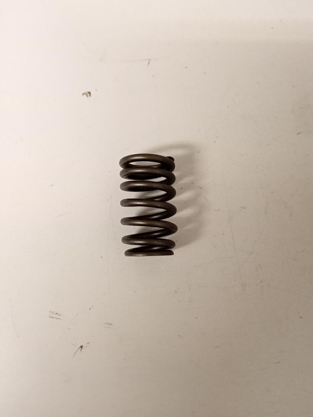 Valve Spring- 4.7L V8