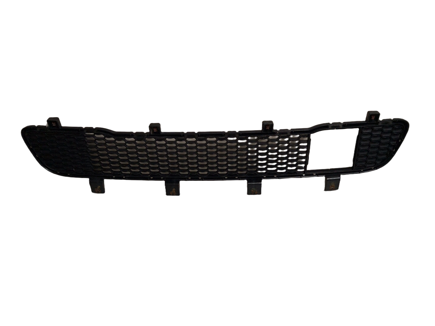 Lower Bumper Grille