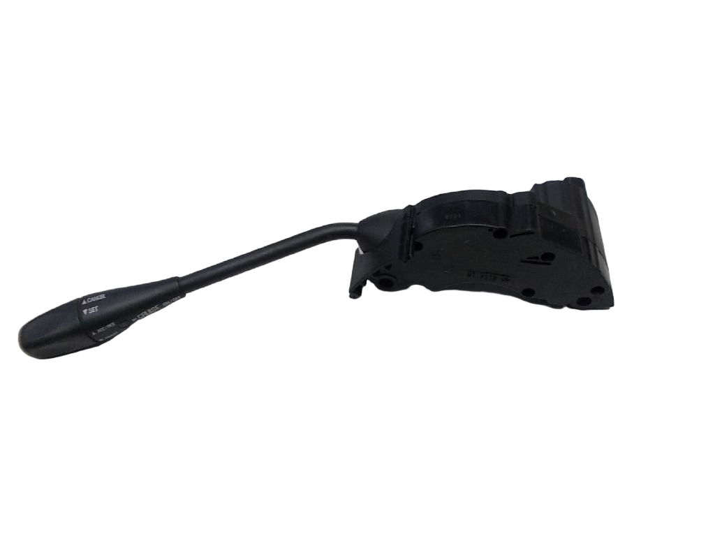 Cruise Control Switch