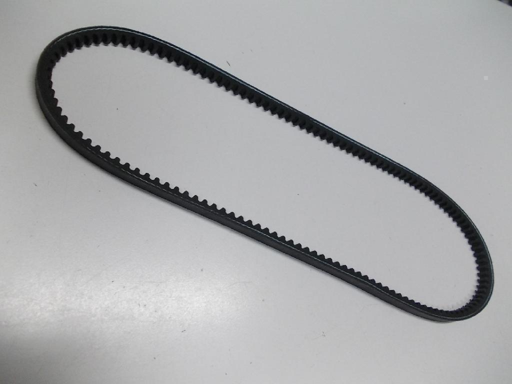 Drive Belt