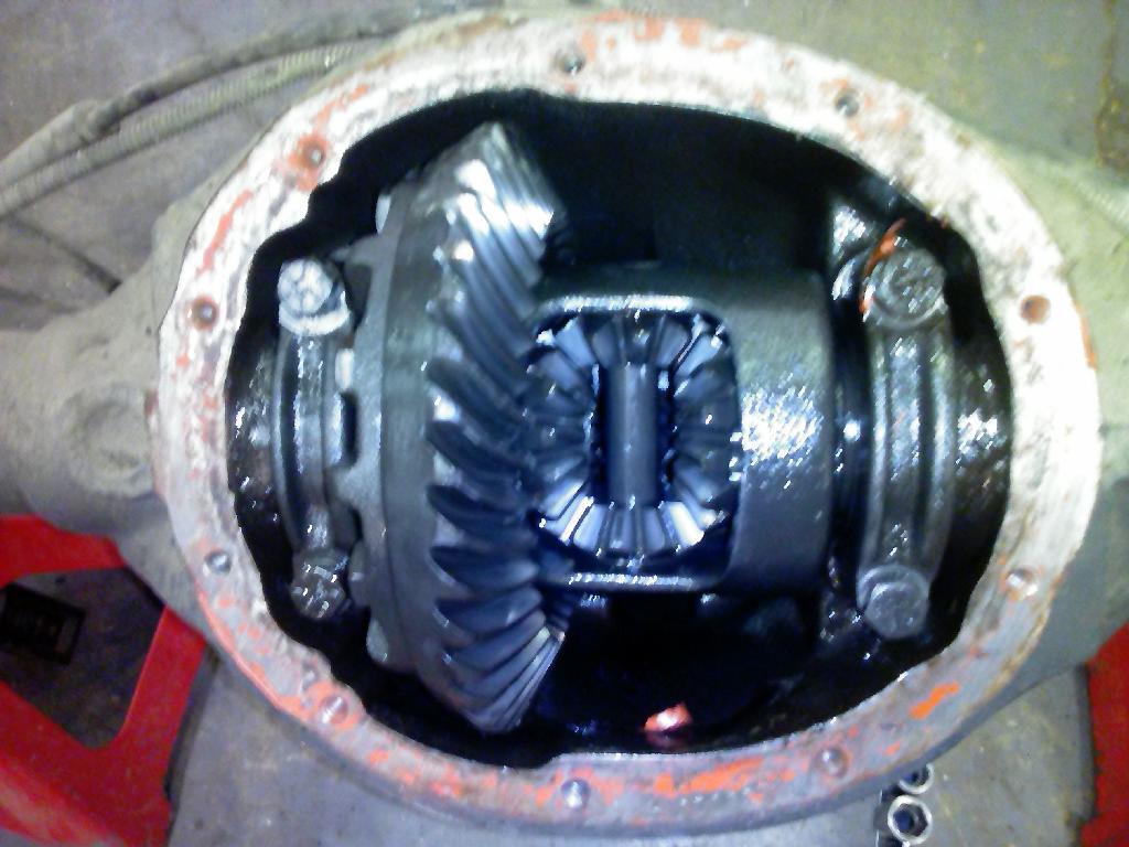 Rear Differential Assembly