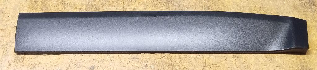Left Rear Door Moulding