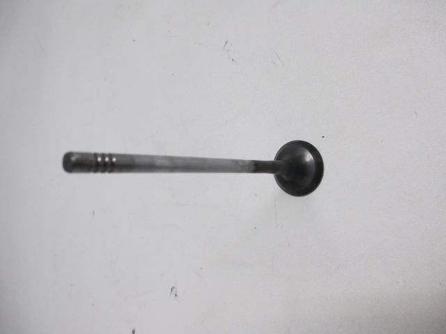 Exhaust Valve Fiat DV6