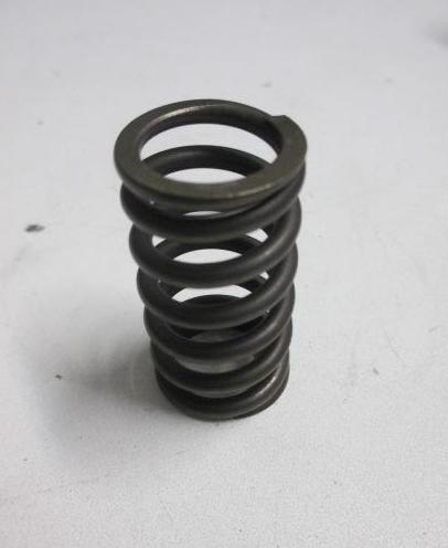 Valve Spring Fiat DV6