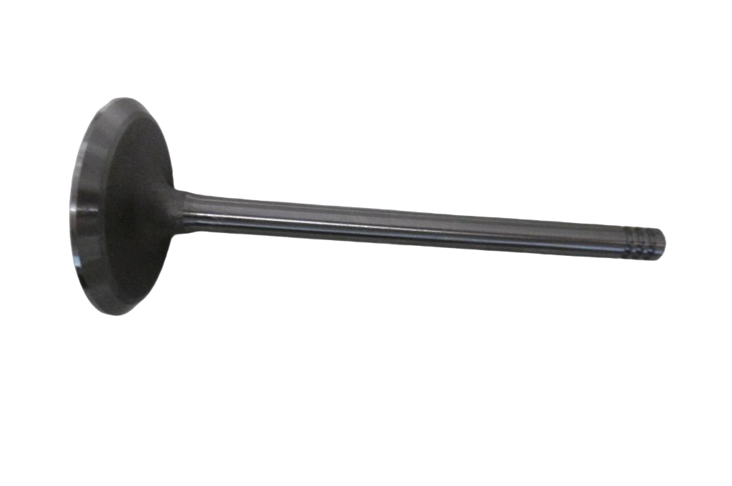 Engine Inlet Valve