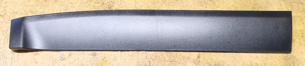 Right Rear Door Moulding