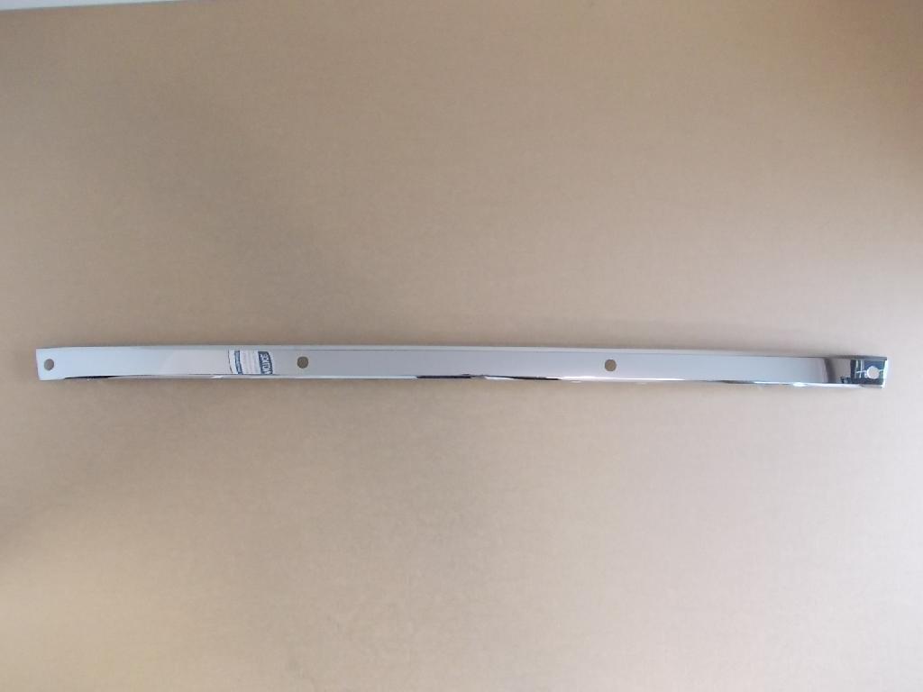 Rear Bumper Moulding