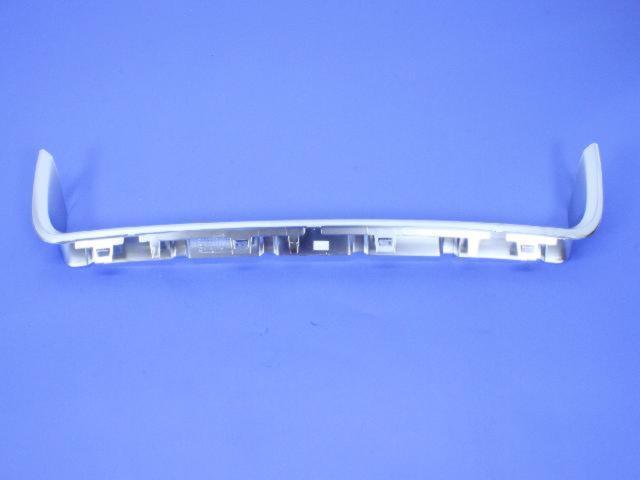 Front Bumper Moulding