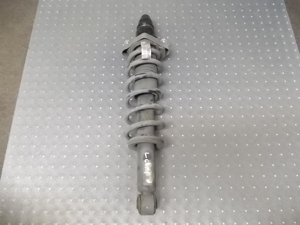 Left Rear Strut