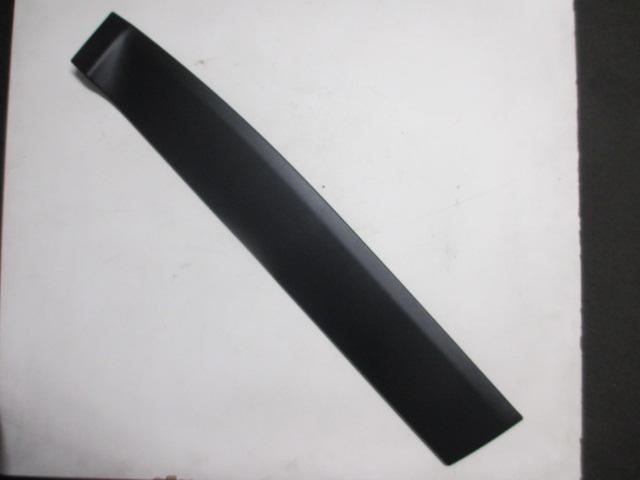 Right Rear Door Moulding