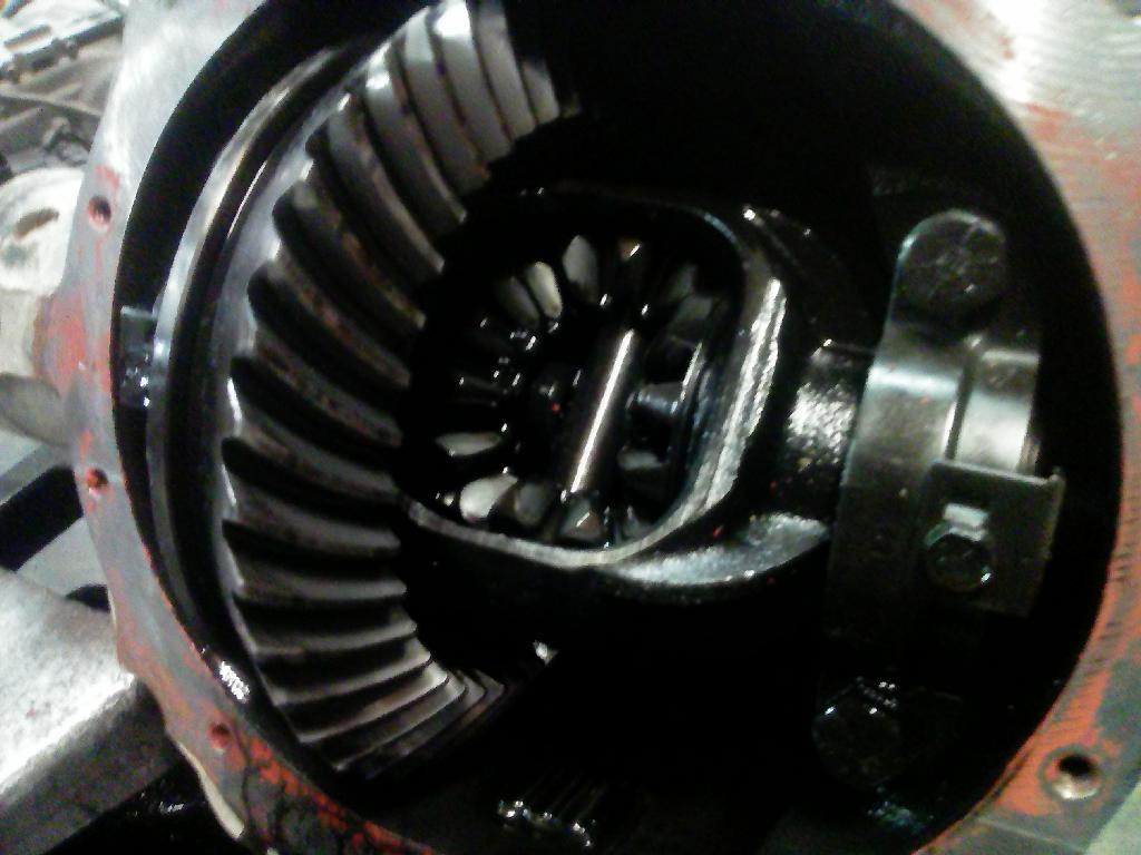 Rear Differential Assembly