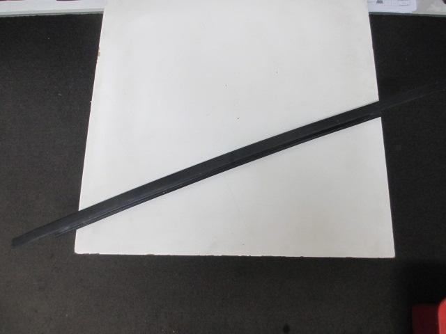 Left Rear Door Weather Strip Mould