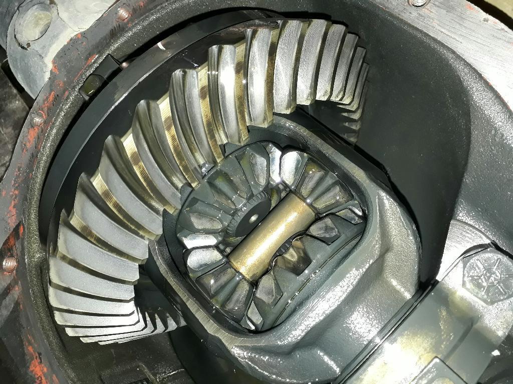 Rear Differential Assembly