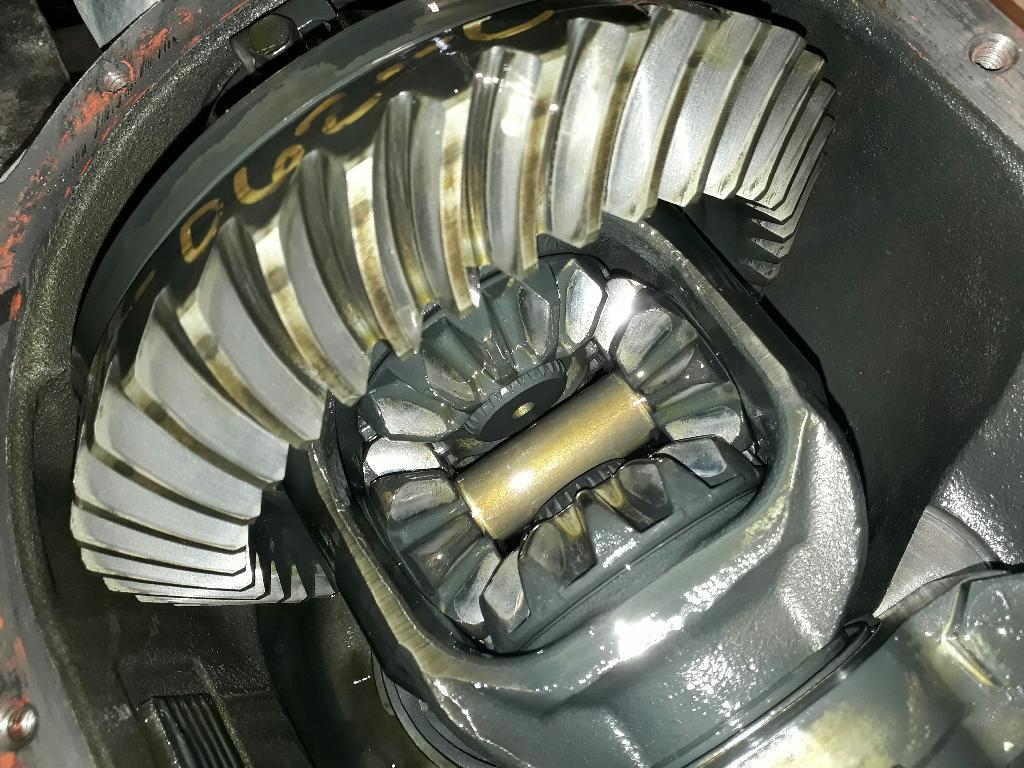 Rear Differential Assembly