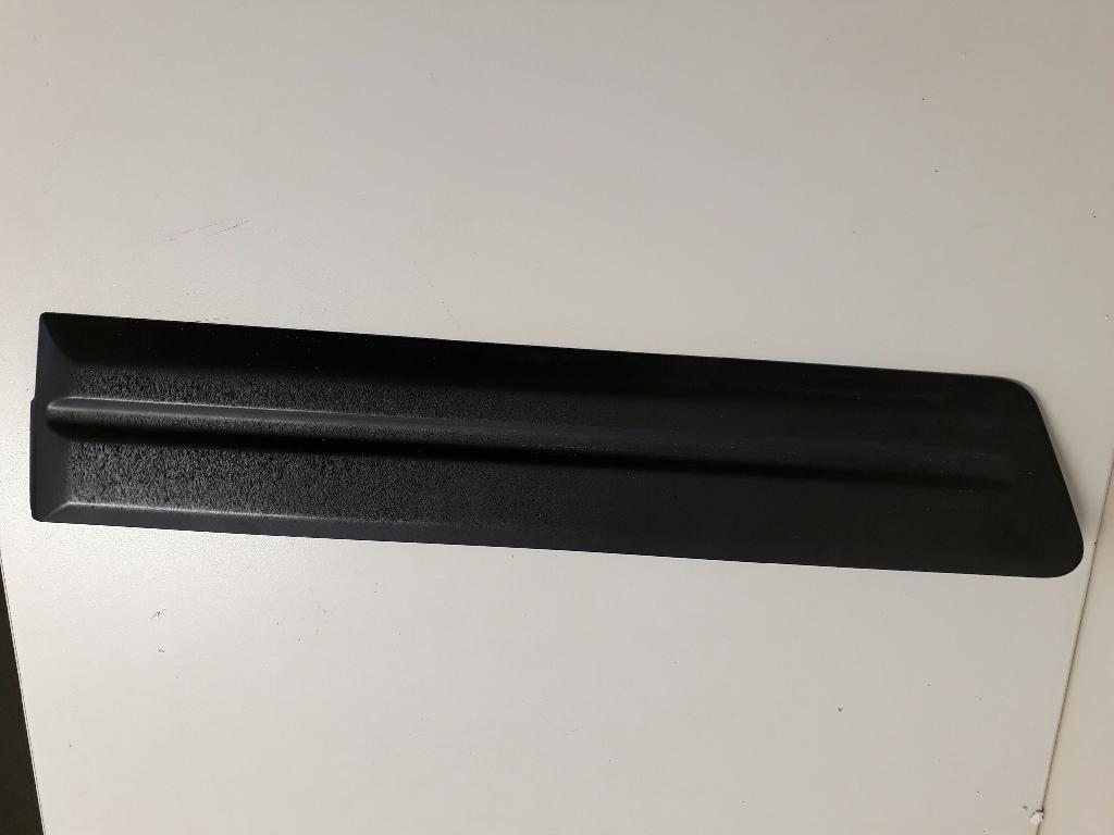 Right Rear Door Moulding