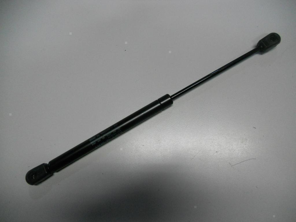 Bonnet Gas Strut