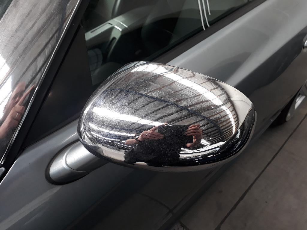 Left Door Mirror