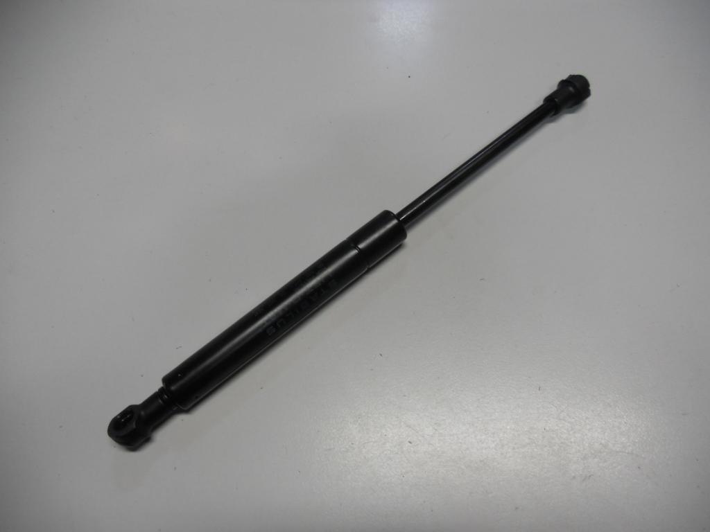 Bonnet Gas Strut