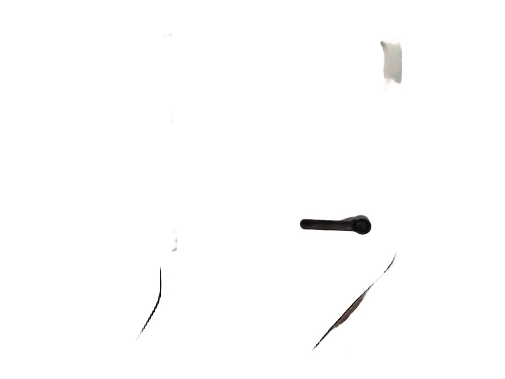 Left Rear Door Shell