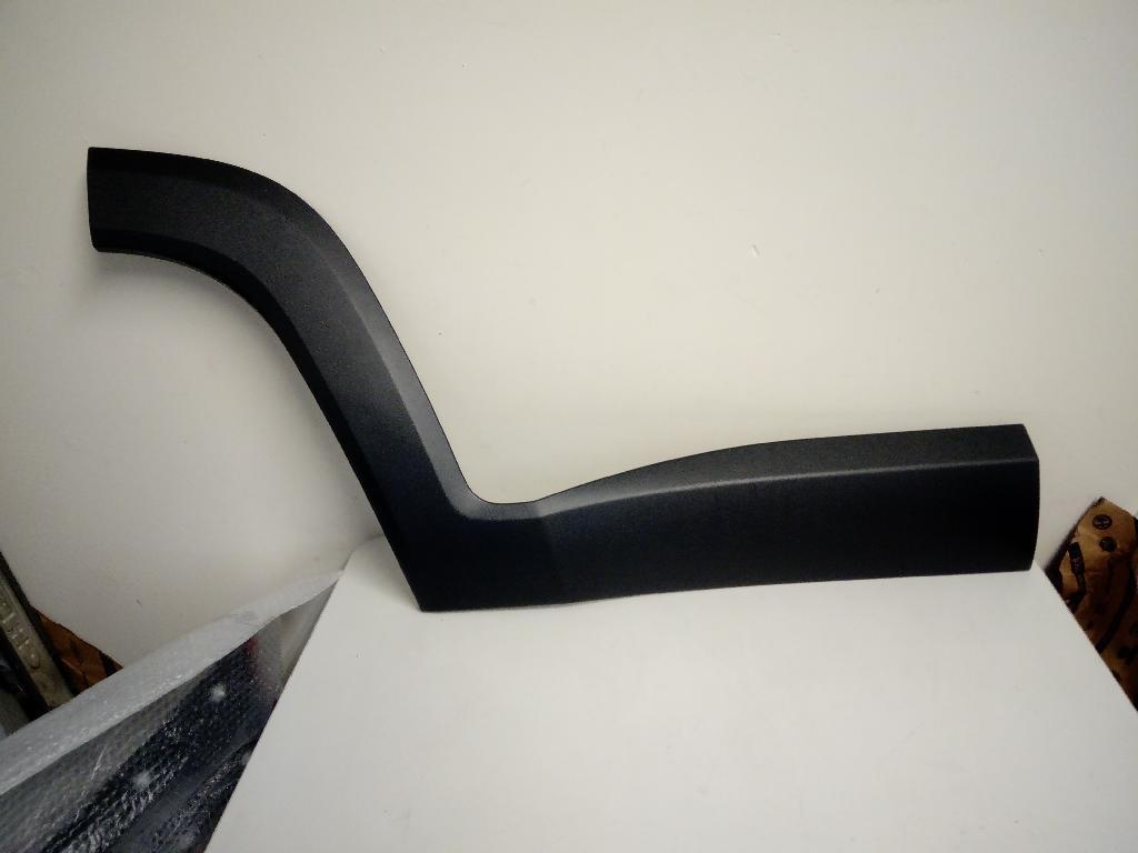 Right Rear Door Moulding