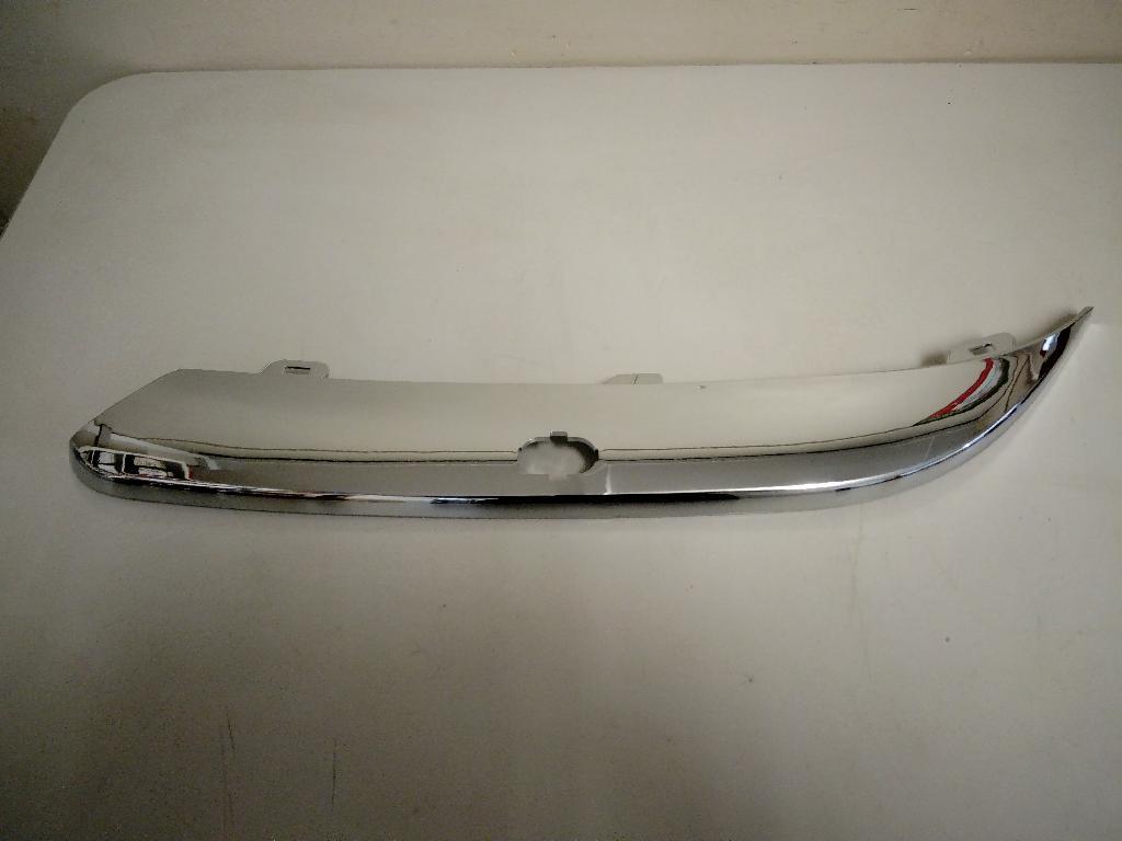 Left Front Bumper Moulding