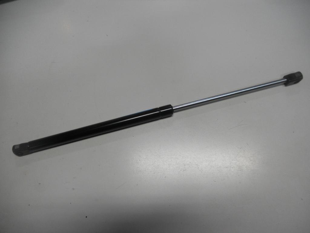 Bonnet Gas Strut