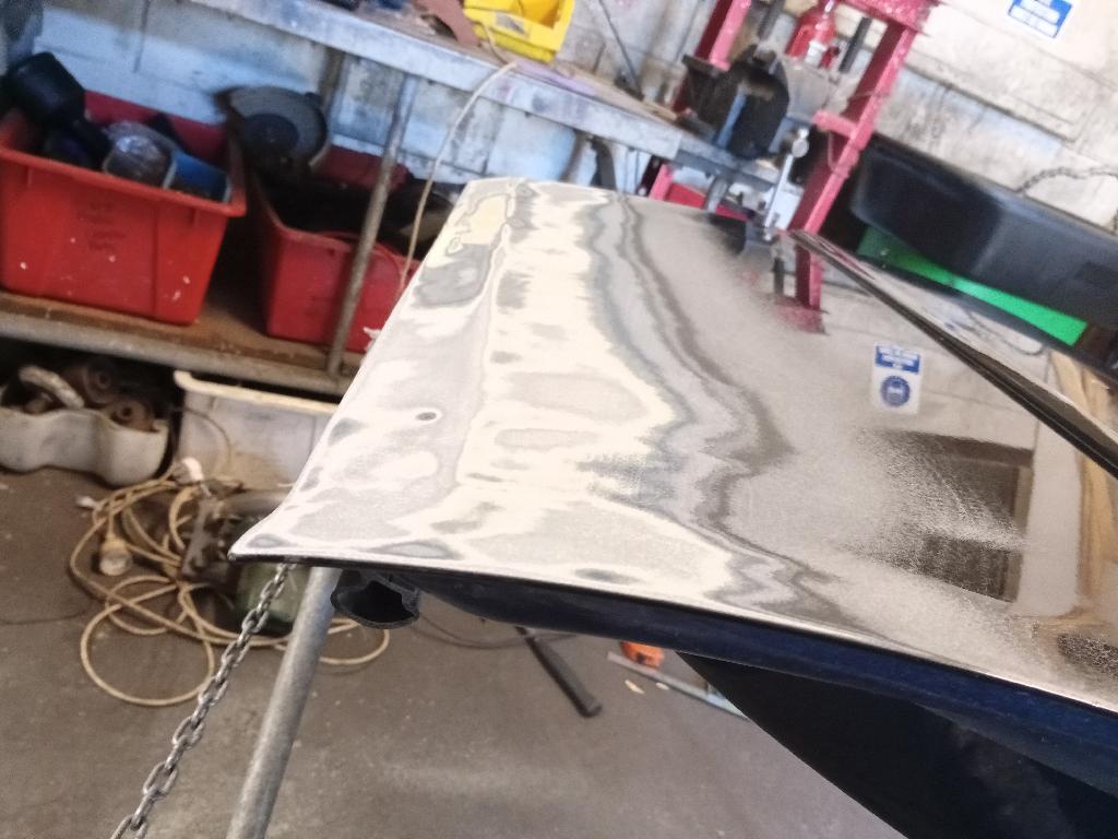Left Rear Door Shell