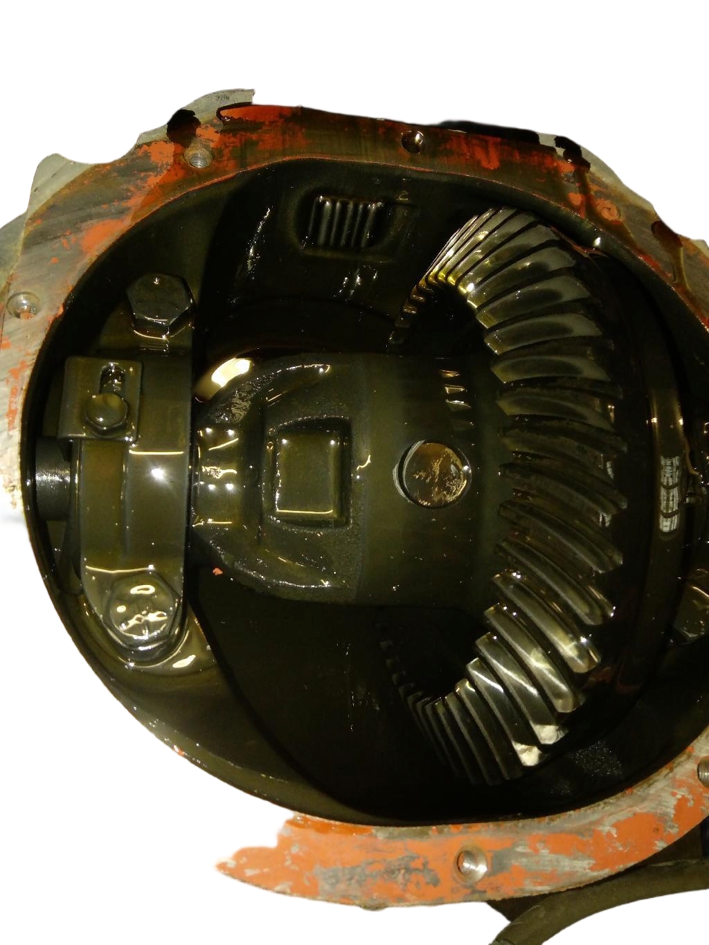 Rear Differential Assembly