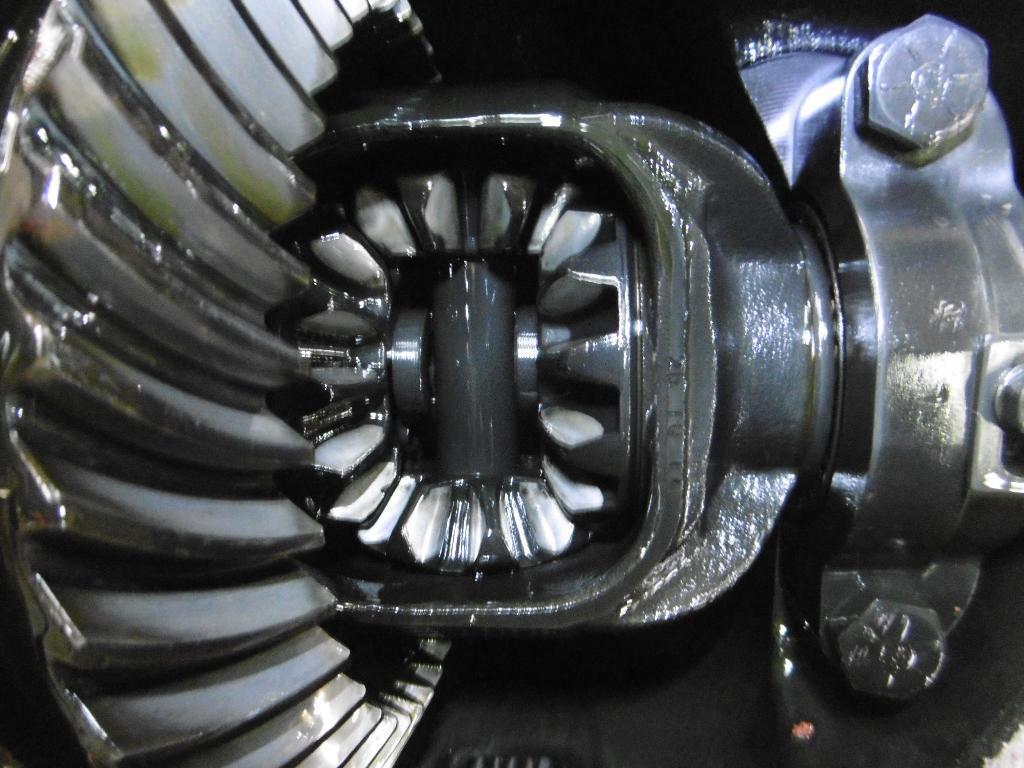 Rear Differential Assembly