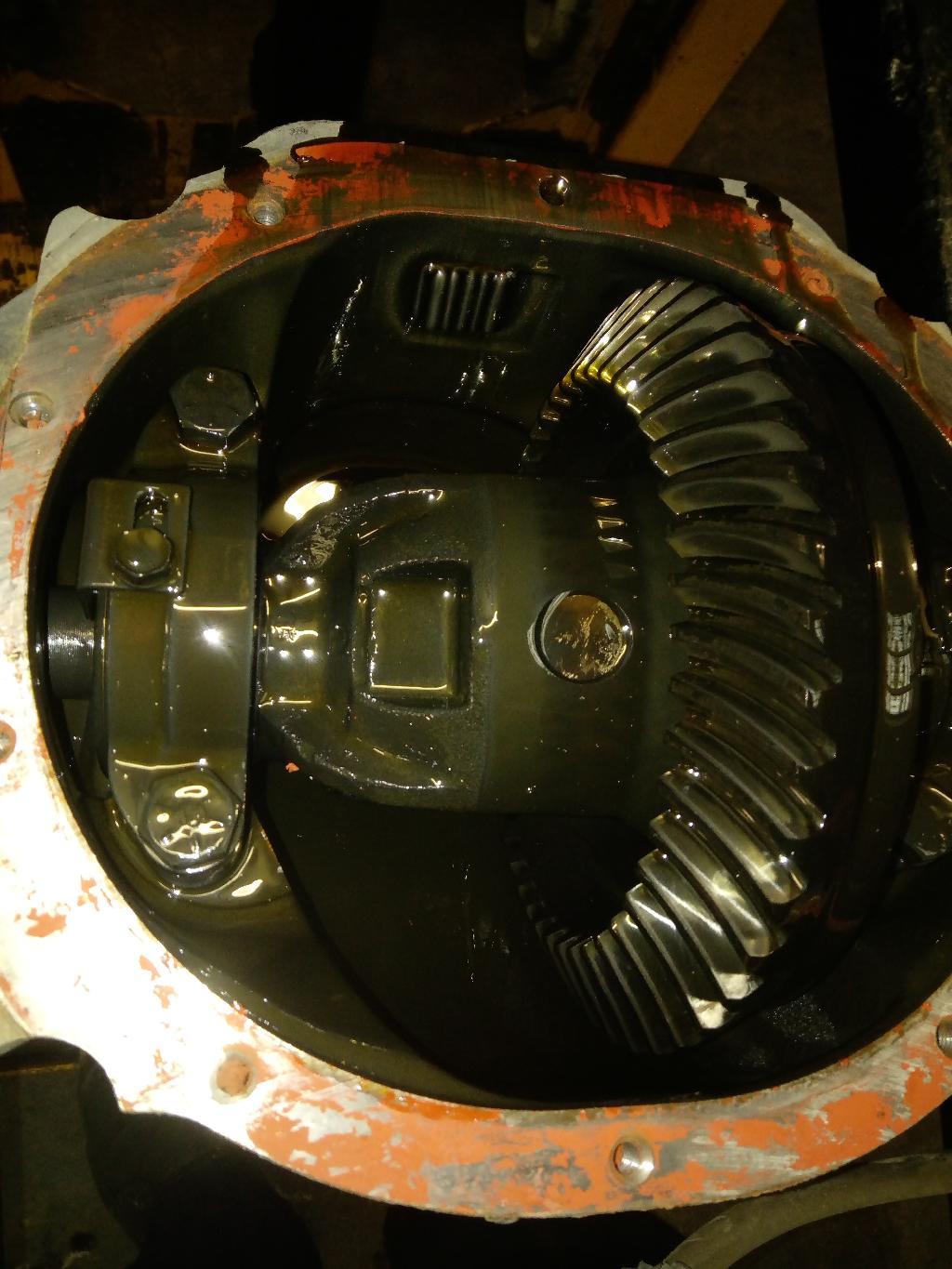 Rear Differential Assembly