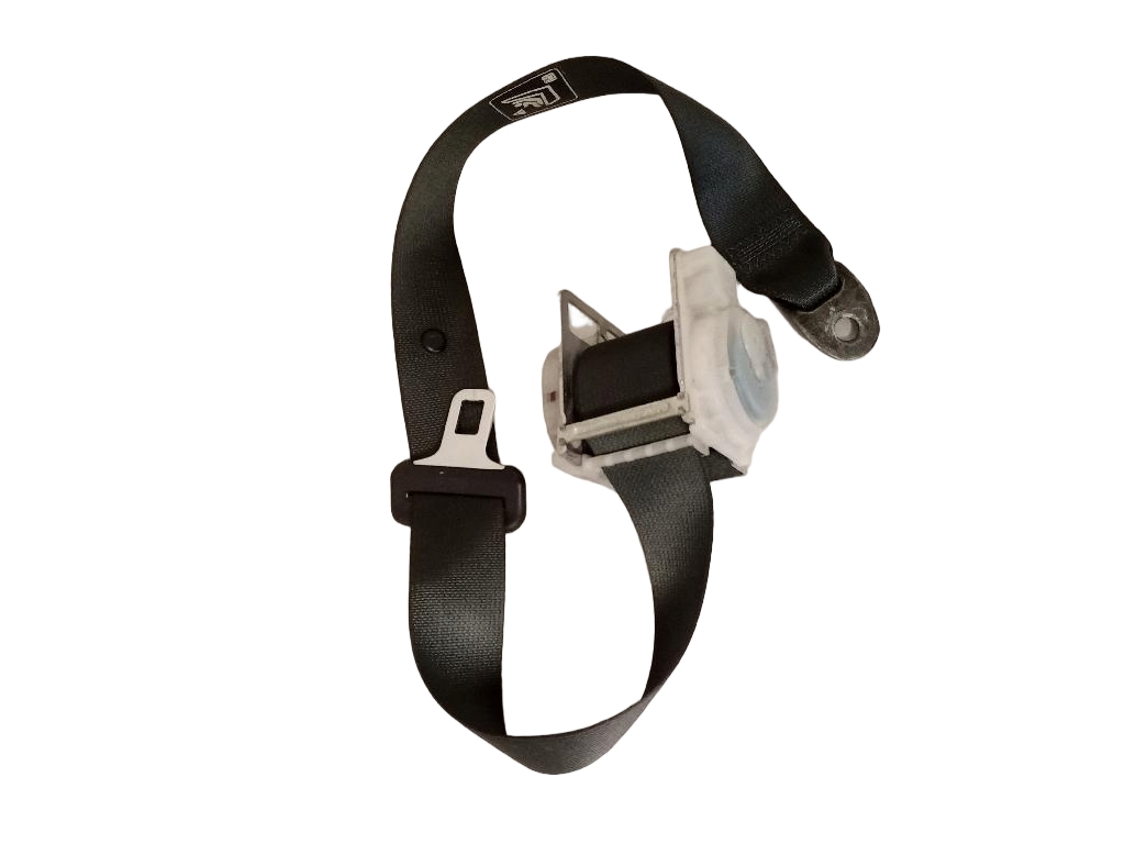 Rear Seat Belt
