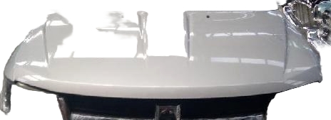 Bonnet