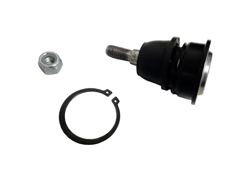 Front Lower Ball Joint