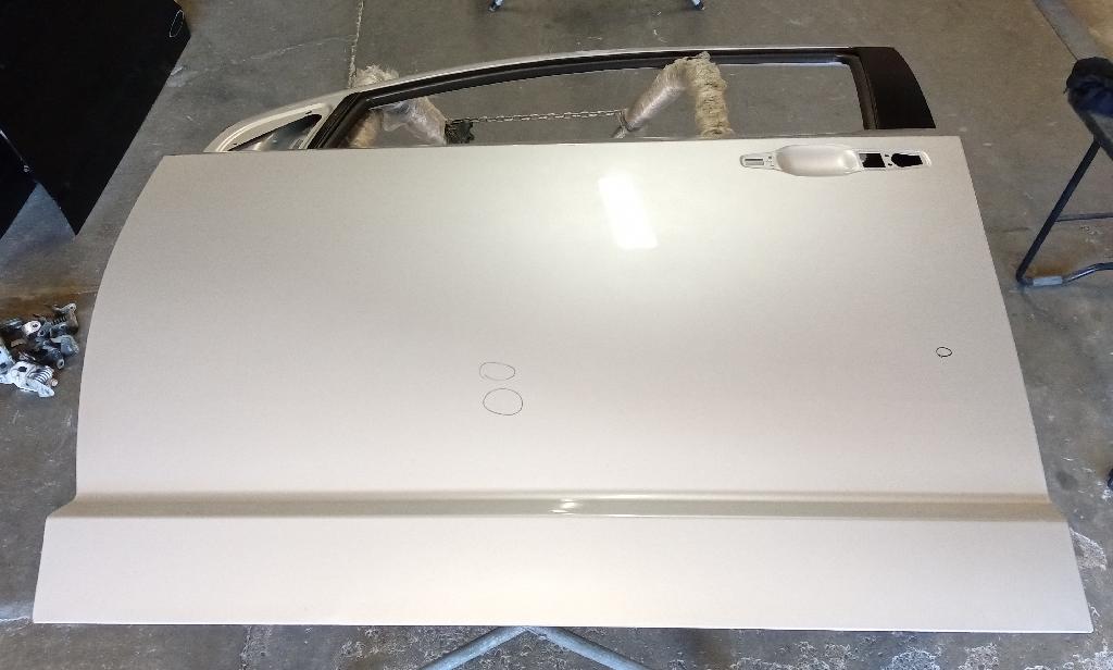 Left Front Door Shell